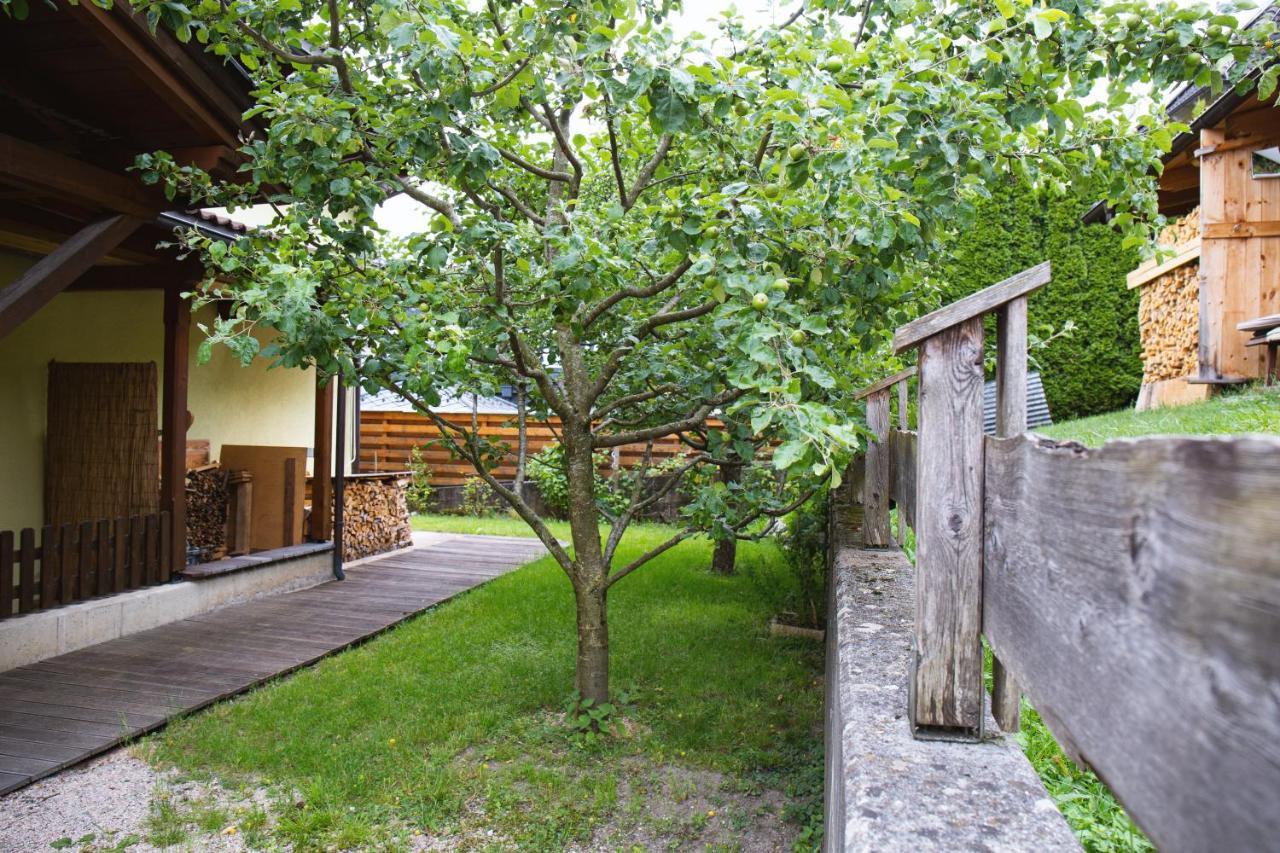 Ferienhaus Schiestl 비싱 외부 사진